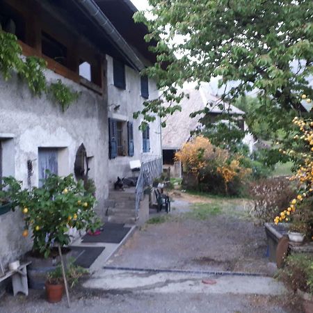Domaine De La Safraniere - Chambre D'Hote Saint-Léger Exterior foto