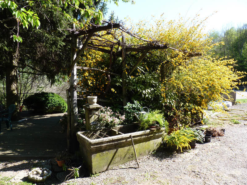 Domaine De La Safraniere - Chambre D'Hote Saint-Léger Exterior foto