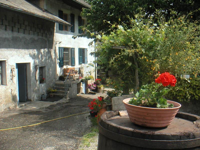 Domaine De La Safraniere - Chambre D'Hote Saint-Léger Exterior foto